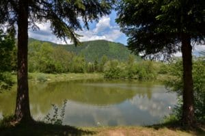 Pokojné jazero uprostred bujných stromov a majestátnych hôr, predvádzajúce úchvatnú krásu Brodna a Štrkoviska.