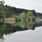 Pokojné jazero obklopené stromami a rákosím, ktoré ponúka pokojné útočisko na plávanie a oddych. Kľúčové slová: Prírodné kúpalisko