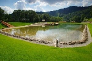 Rybník, známy ako Prírodné biokúpalisko Levoča, sa nachádza uprostred trávnatého poľa.