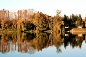 Nádherné jazero Vodná nádrž Čerenec Piešťany, v ktorom sa zrkadlia stromy.