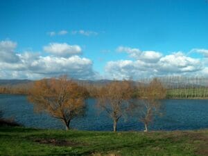 Vodná nádrž Suchá nad Parnou so stromami a modrou oblohou.